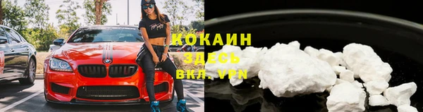 стафф Карпинск