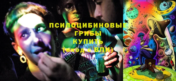стафф Карпинск