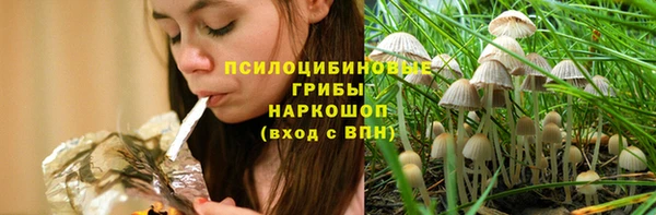 apvp Карталы