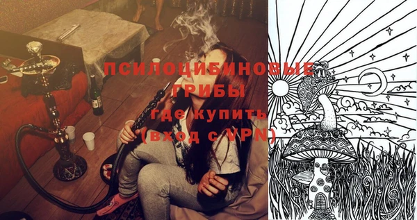 apvp Карталы