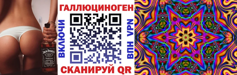 Купить закладки Катав-Ивановск Псилоцибиновые грибы Psilocybe